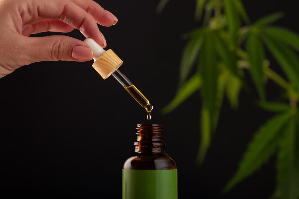 Premium Marijuana Buds UK: Where to Buy THC Oil in UK at Badbuds Dispensary