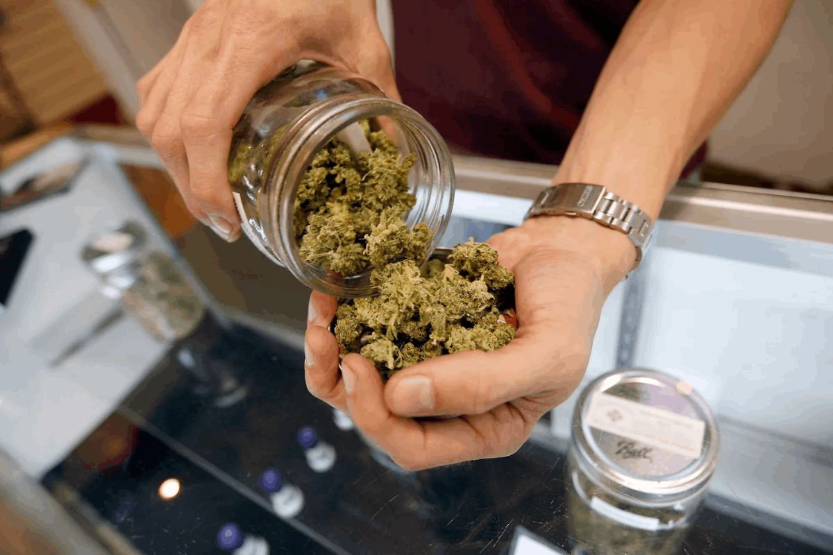 Discreet Nationwide Shipping for Therapeutic Cannabis Online