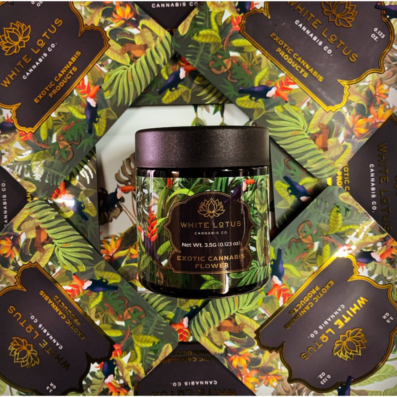 Custom Magic Mushroom Packaging for Premium Brand Appeal