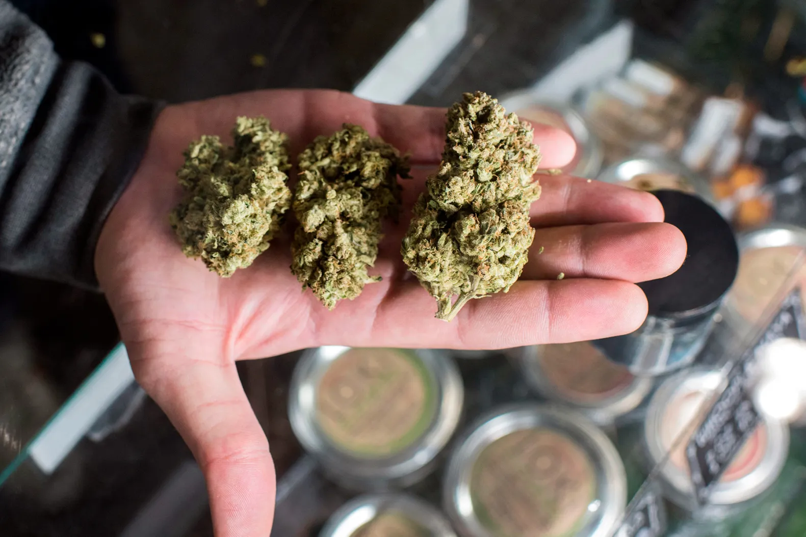 Discreet Nationwide Shipping for Therapeutic Cannabis Online